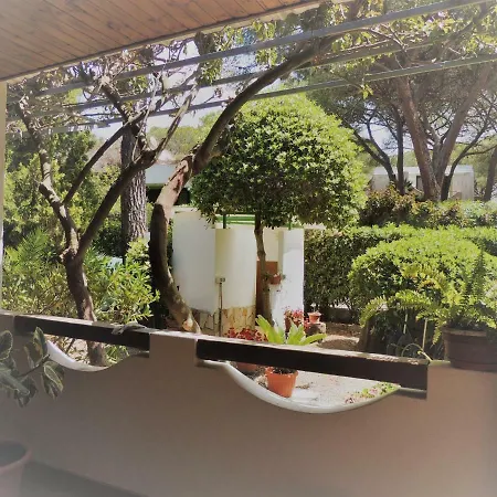 Carmen 圣玛格利特迪普拉