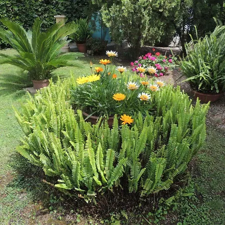 Carmen 度假居 圣玛格利特迪普拉