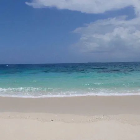 Carmen 圣玛格利特迪普拉